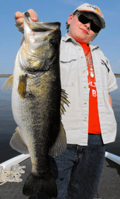 bass