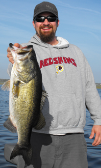toho bass guide
