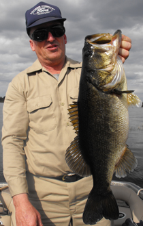 orlando bass