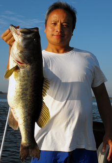 bass