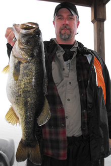 florida bass