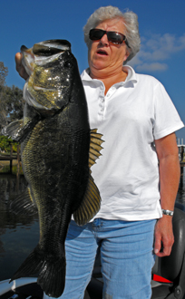 Orlando Bass Guide