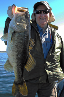 bass