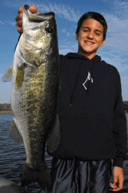 bass