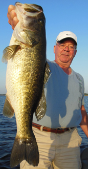 fish