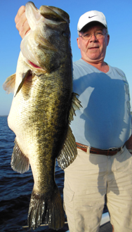 trophy bass