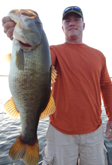 orlando bass