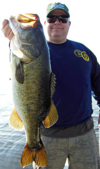bass