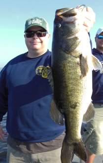 bass