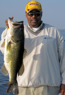 Orlando Bass Guide