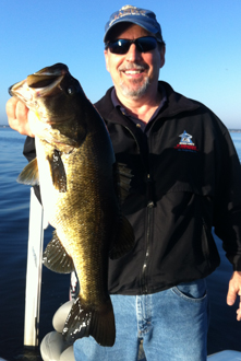 bass
