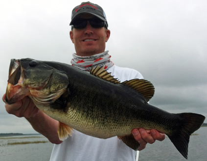 bass