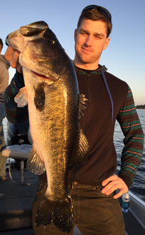 orlando bass guide