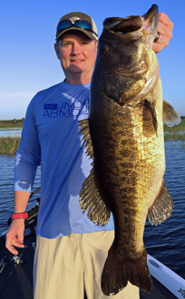orlando bass guide
