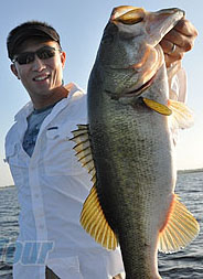 Orlando Bass Guide