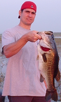 toho guide