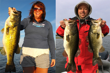 Harris Chain Bass Guide