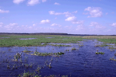 Lake Toho