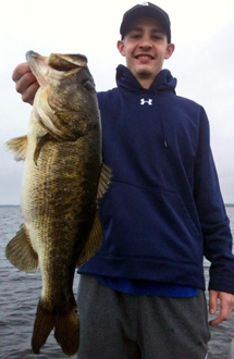 toho bass guide