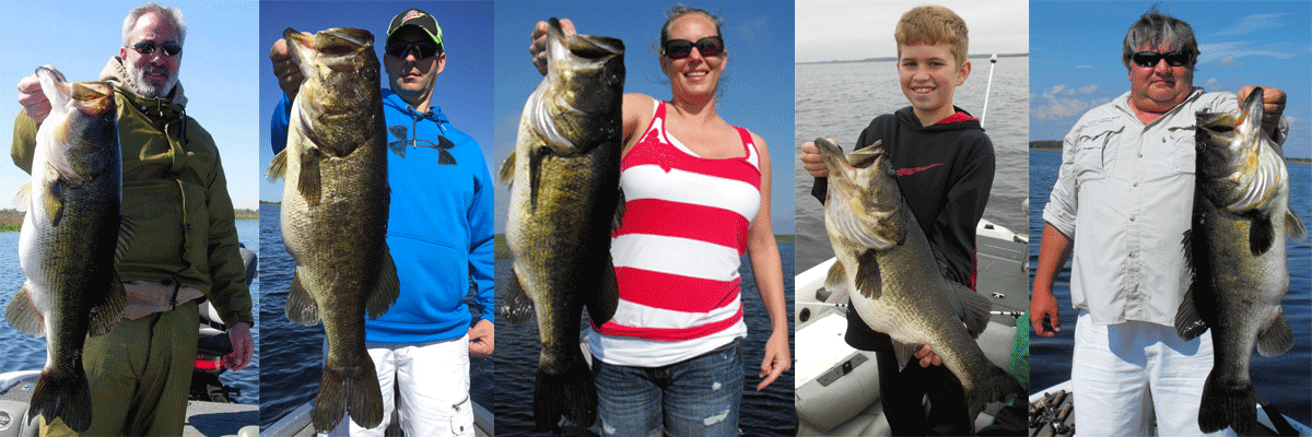 Orlando Trophy Bass Fishing Guide