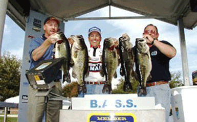 Toho Bass Guide